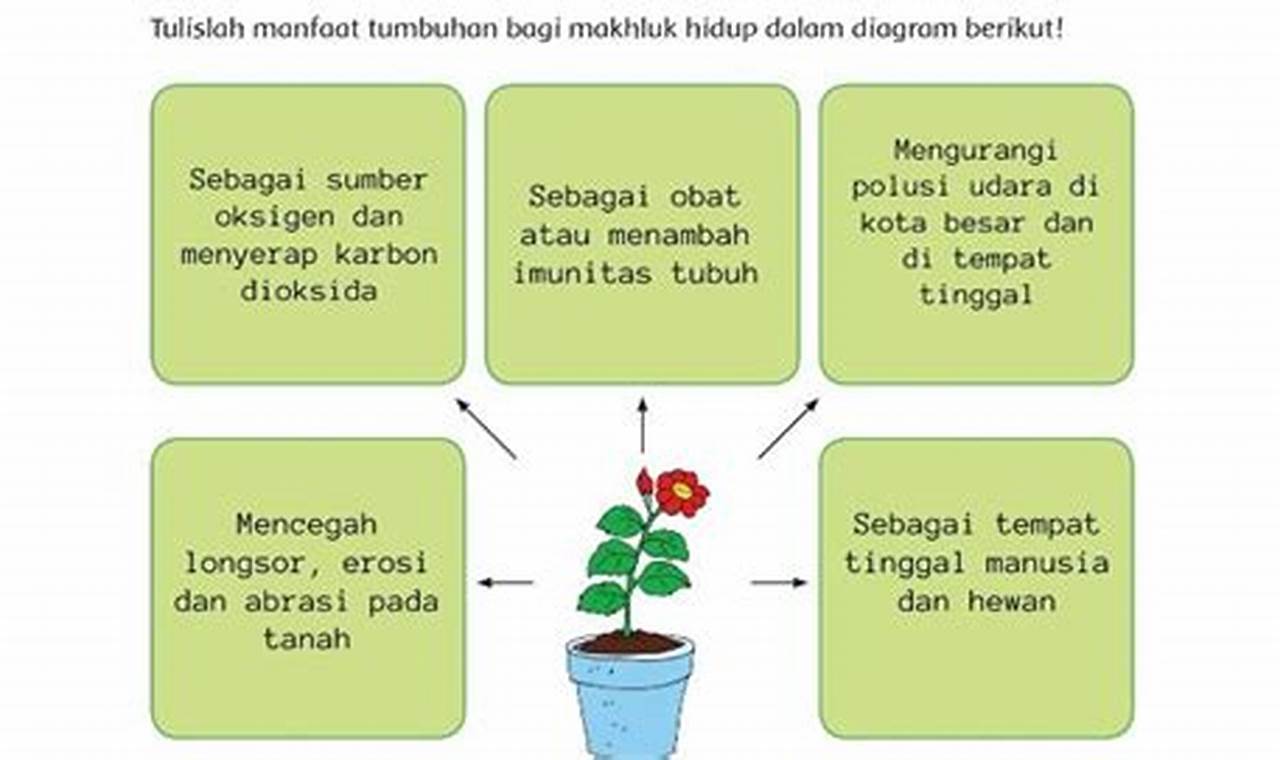 Temukan 6 Manfaat Tumbuhan Bagi Keasrian Sekolah yang Menarik dan Menyenangkan