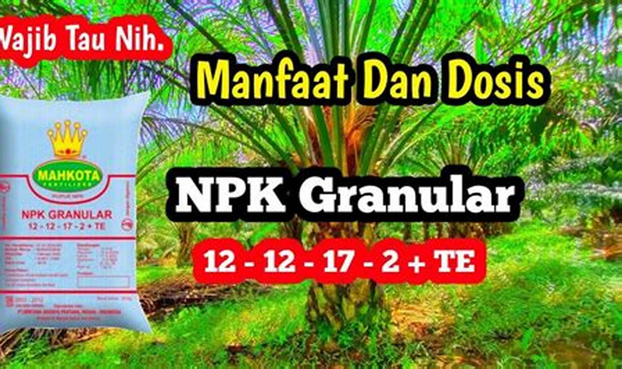 Ungkap 5 Manfaat Pupuk NPK Granul untuk Kelapa Sawit yang Wajib Anda Tahu!