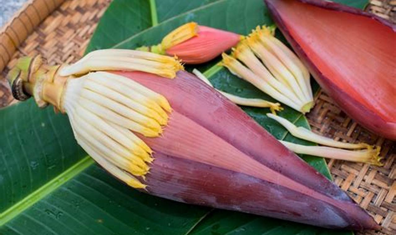 Ungkap Manfaat Dahsyat Jantung Pisang untuk Ibu Hamil, Dijamin Menakjubkan!