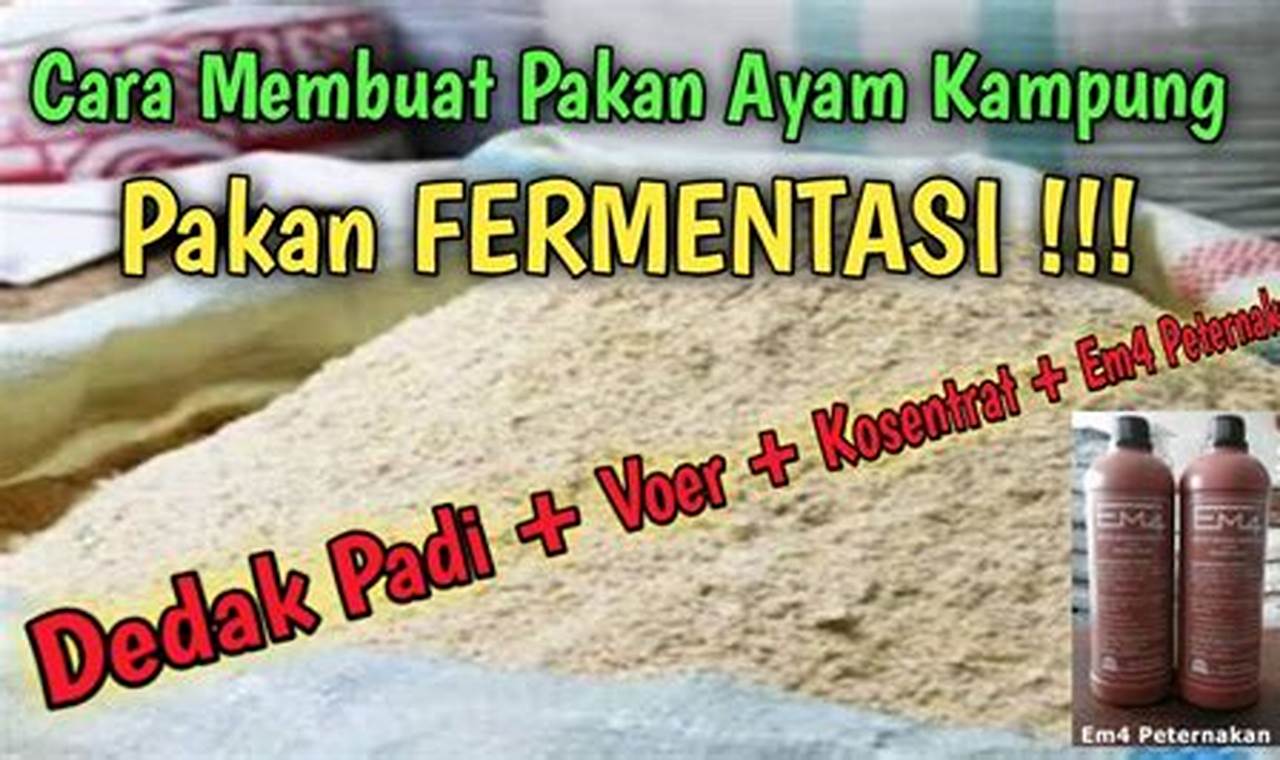 Temukan 7 Khasiat Dedak yang Bikin Ayam Gembrot dan Sehat