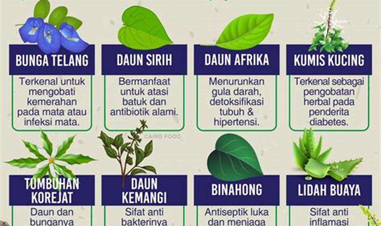 Manfaat Tanaman Herbal: Penemuan yang Menarik dan Menyenangkan