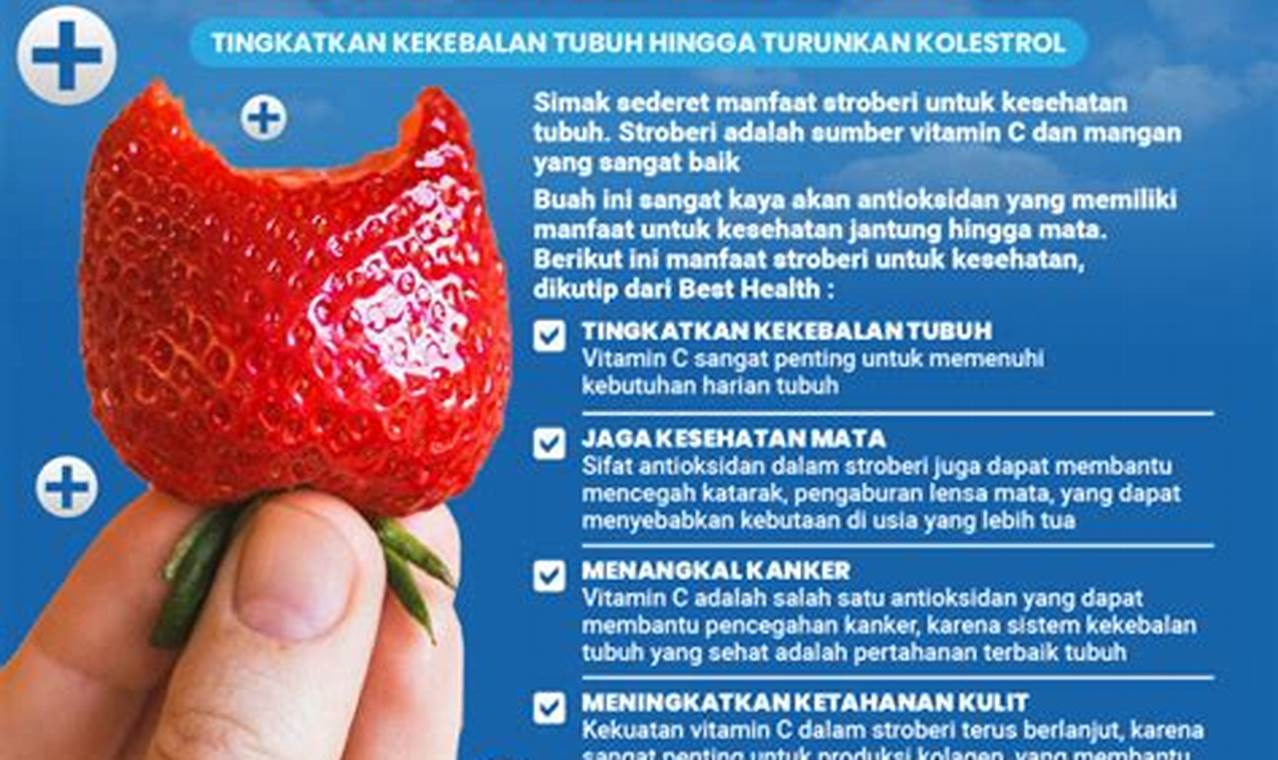 Temukan Manfaat Buah Stroberi untuk Ibu Hamil yang Menarik