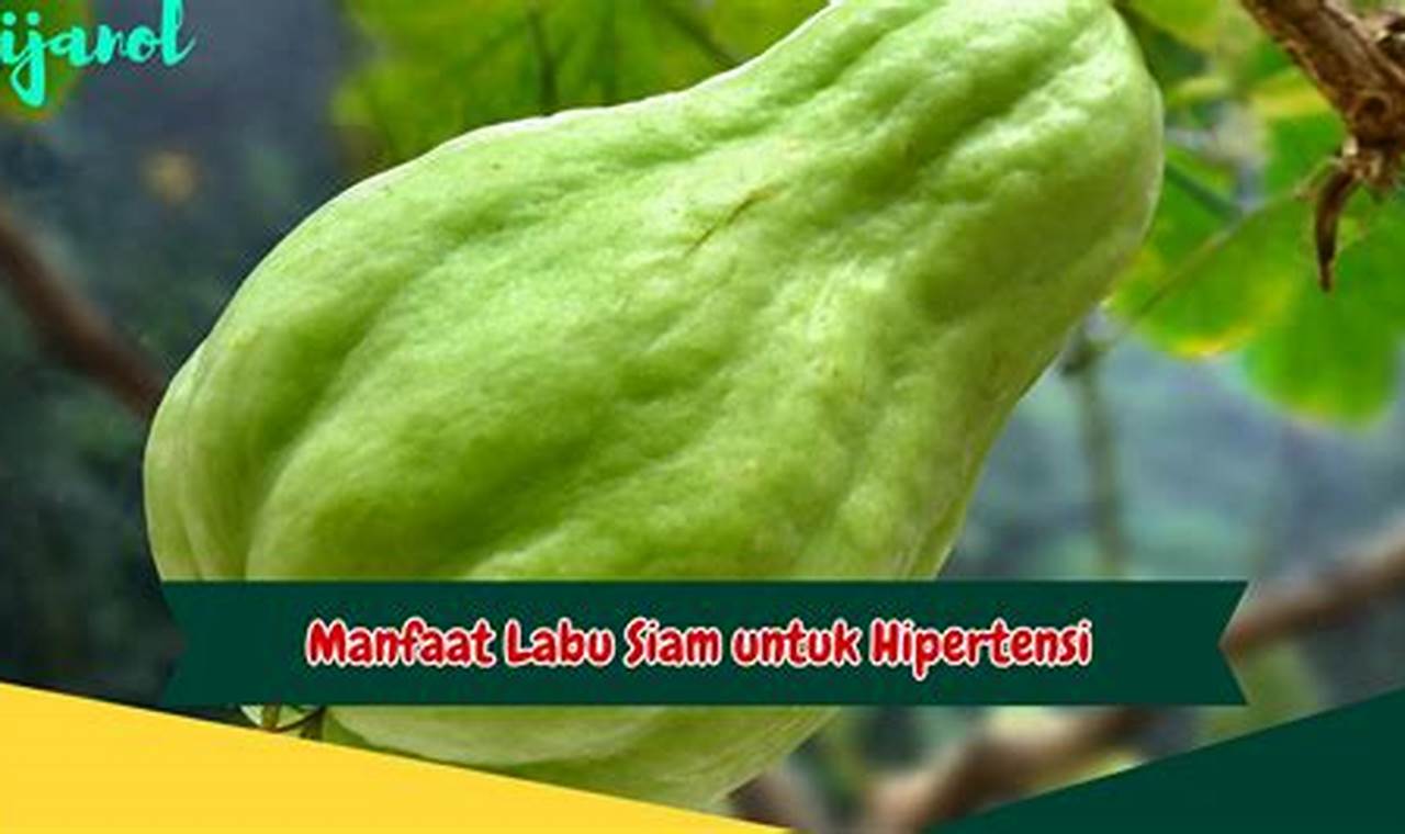 Temukan 4 Manfaat Labu Siam untuk Hipertensi yang Menakjubkan