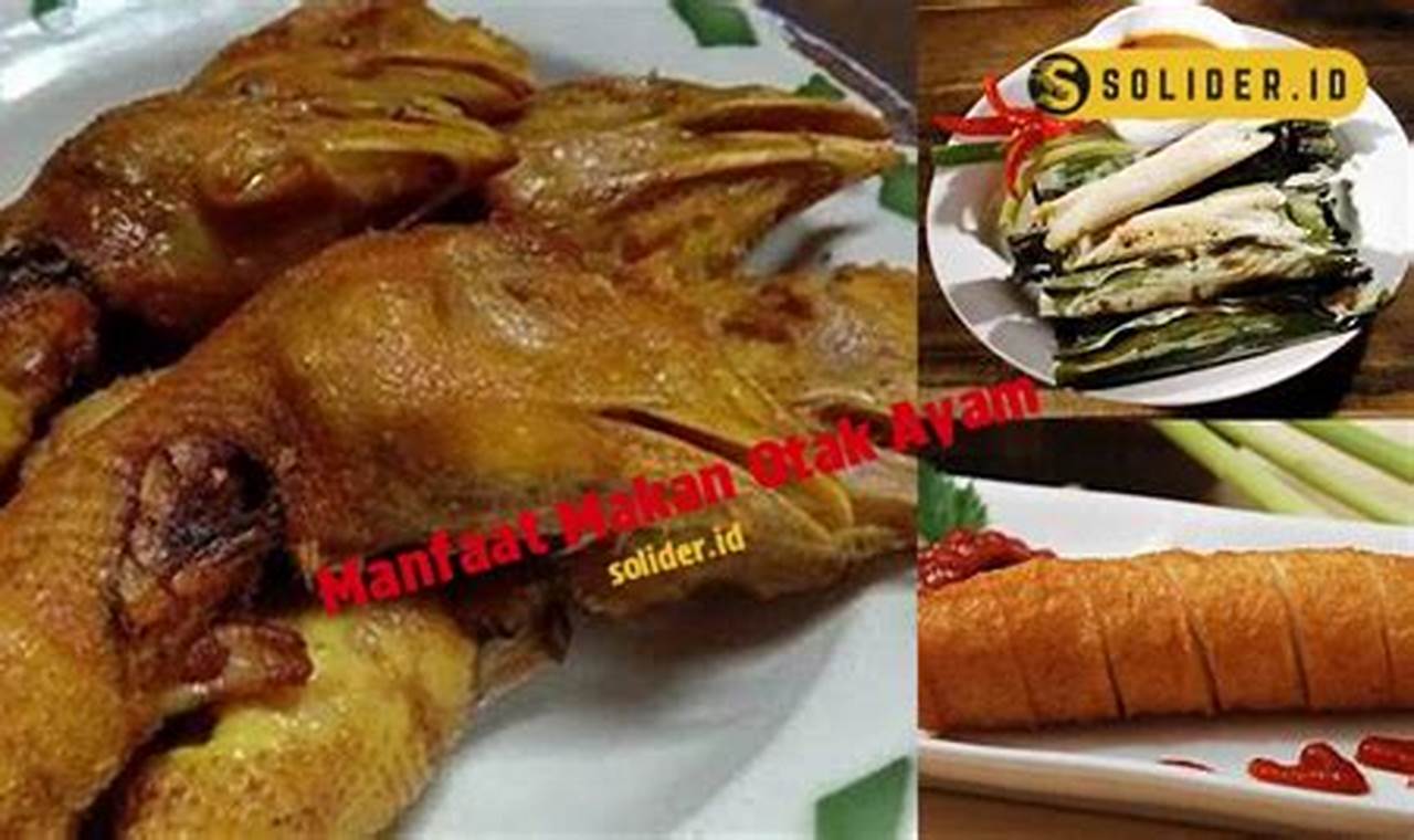 Temukan Manfaat Otak Ayam yang Jarang Diketahui, Wajib Anda Tahu!