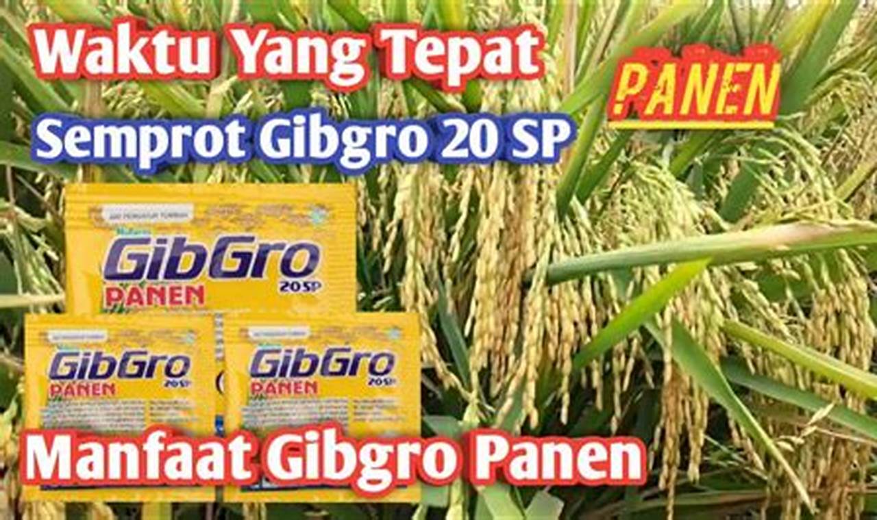 Temukan Manfaat Gibgro Panen yang Menguntungkan