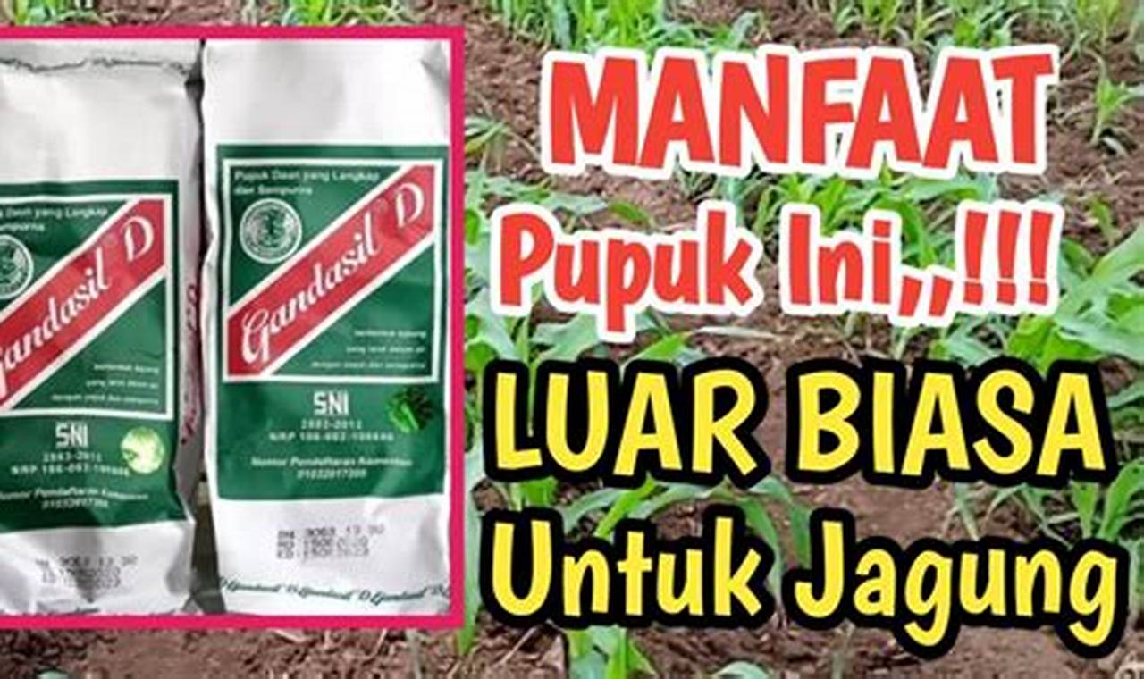 Bongkar 10 Manfaat Pupuk Gandasil D yang Jarang Diketahui