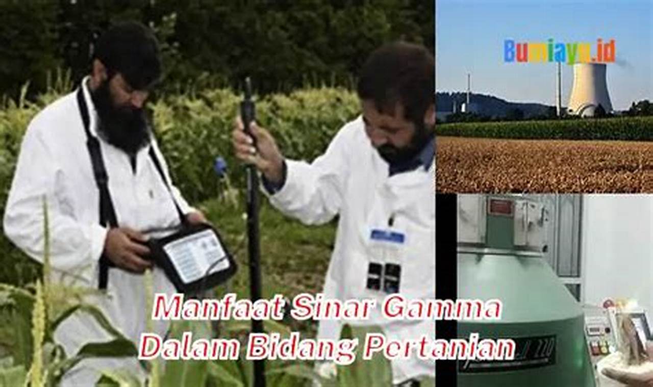 Temukan 5 Manfaat Sinar Gamma di Bidang Pertanian yang Menjanjikan