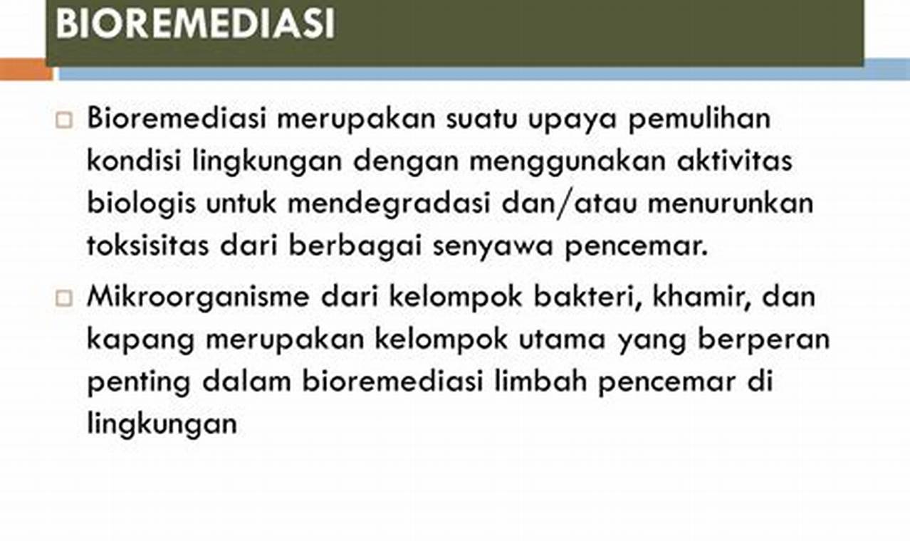 Temukan Manfaat Bioremediasi yang Menarik dan Menyenangkan