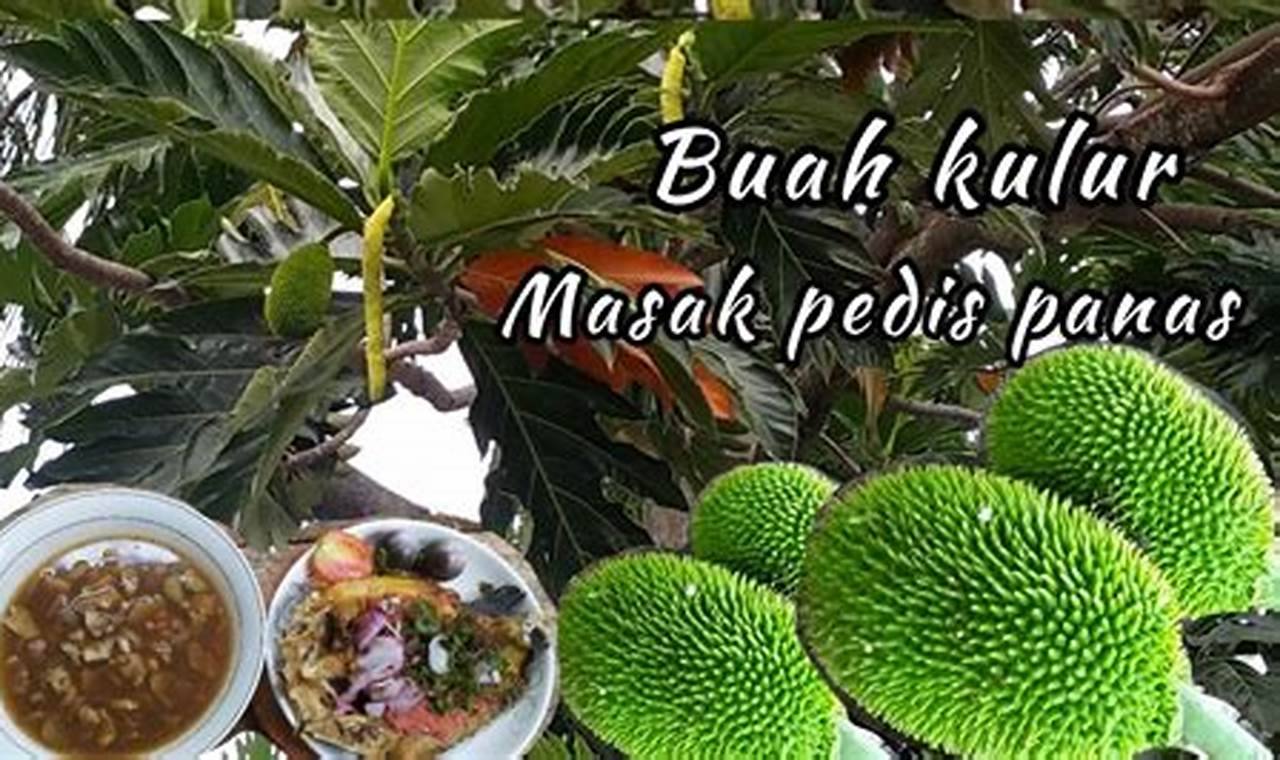 Ungkap Manfaat Buah Kulur yang Menarik dan Menyenangkan