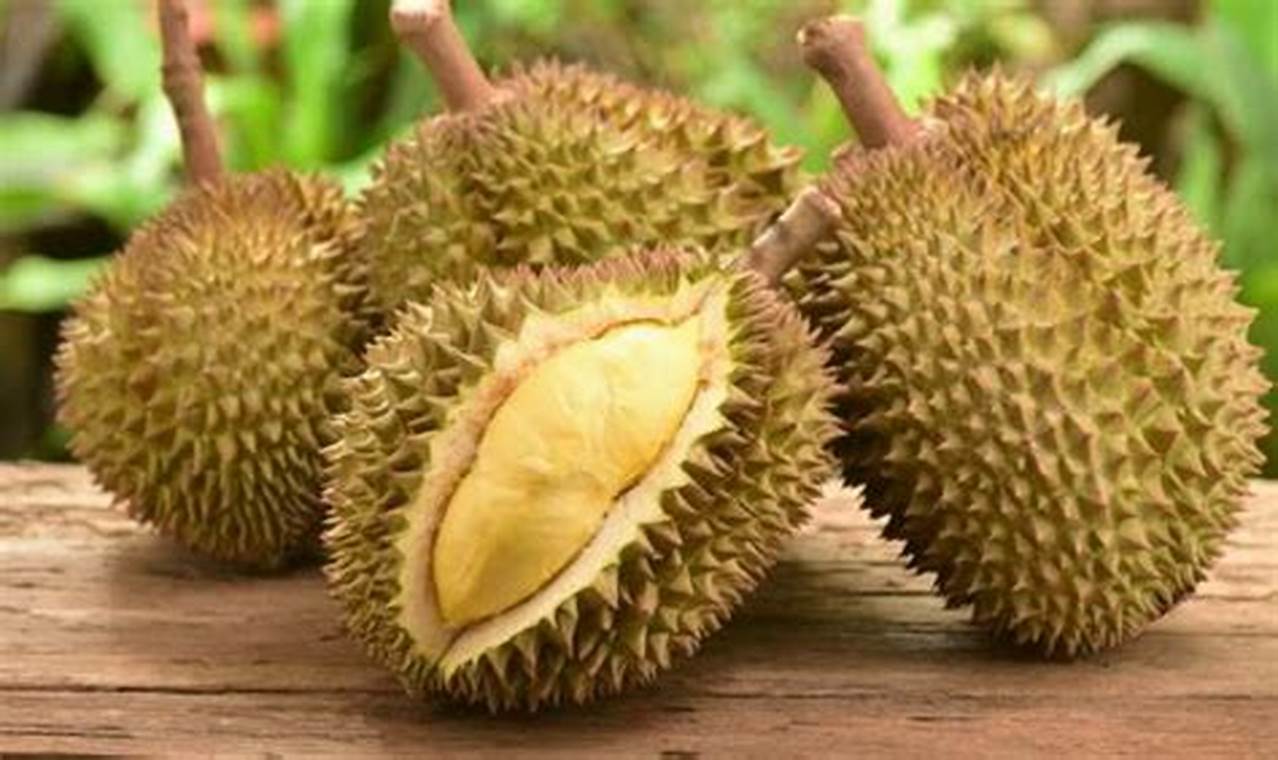 Ungkap 5 Manfaat Kulit Durian Menakjubkan untuk Pertanian