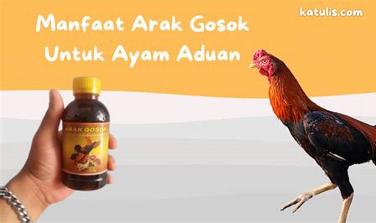 Temukan 6 Manfaat Arak Gosok untuk Ayam Aduan yang Perlu Kamu Tahu!