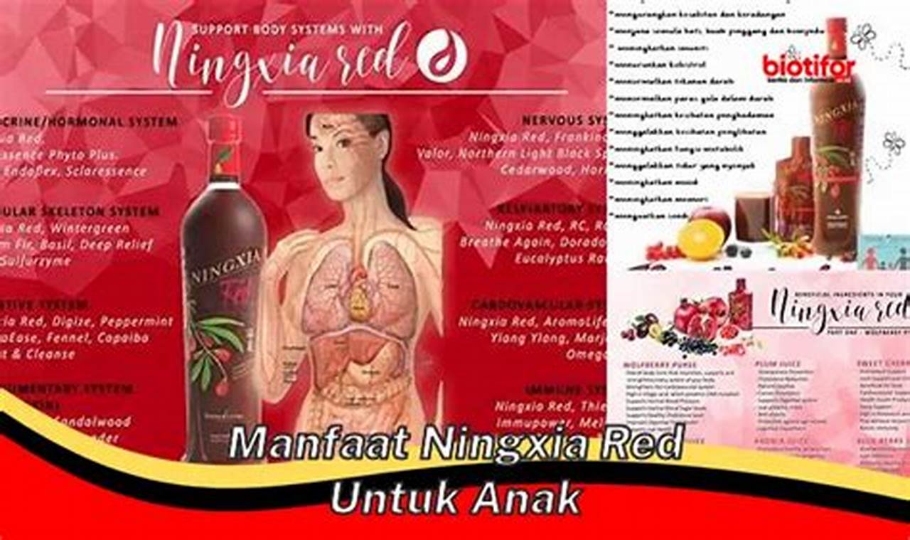 &#34;Manfaat Ningxia Red Untuk Anak: Temukan 5 Rahasia yang Jarang Diketahui&#34;