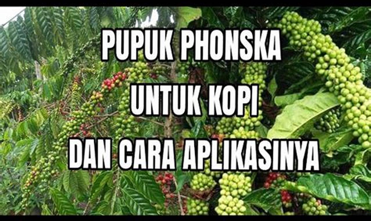 Ungkap Khasiat Pupuk Phonska untuk Tanaman Kopi, Wajib Diketahui!