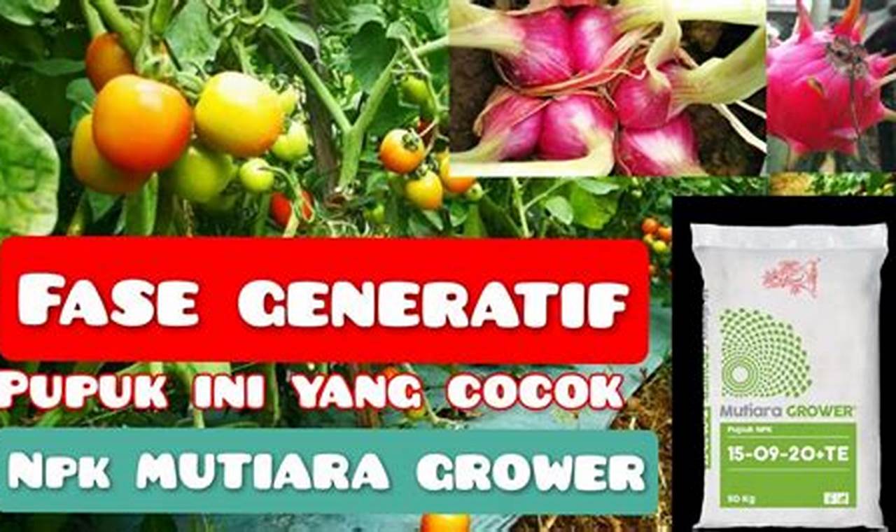 Temukan Manfaat Pupuk NPK Grower yang Jarang Diketahui!