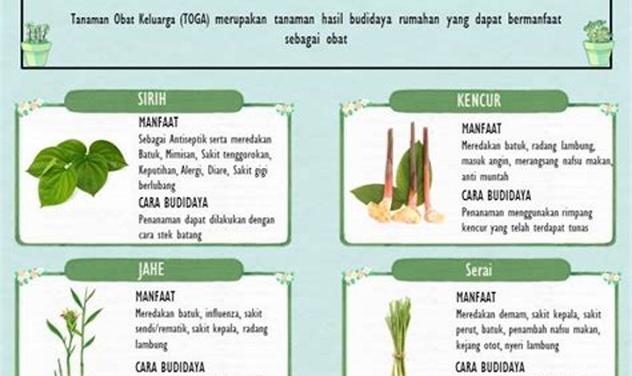 Temukan Rahasia Manfaat Tanaman Obat Keluarga dalam Format PDF