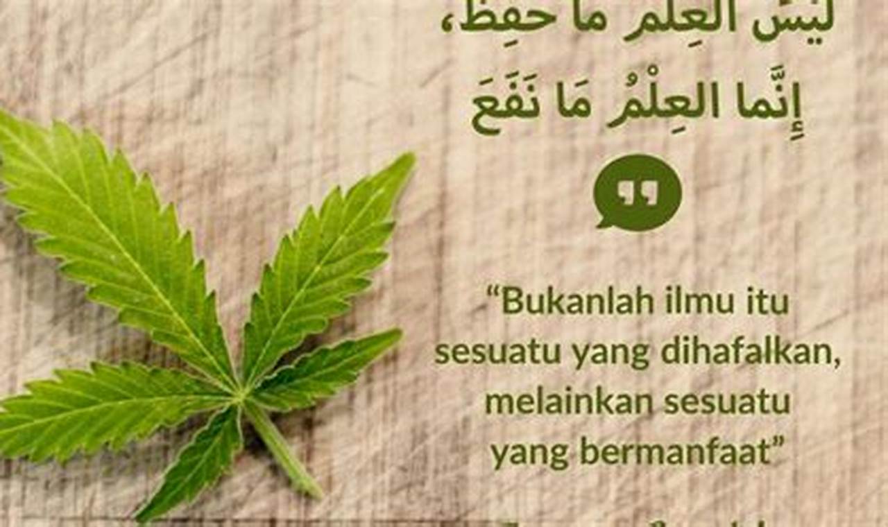 Buka Rahasia: Manfaat Ilmu yang Tak Terduga