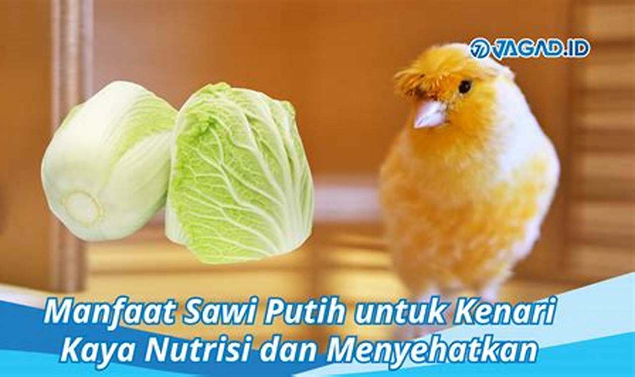 Ungkap Khasiat Sawi Putih untuk Kenari yang Jarang Diketahui