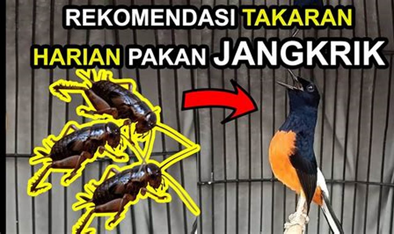 Terungkap Manfaat Jangkrik untuk Burung yang Menakjubkan!