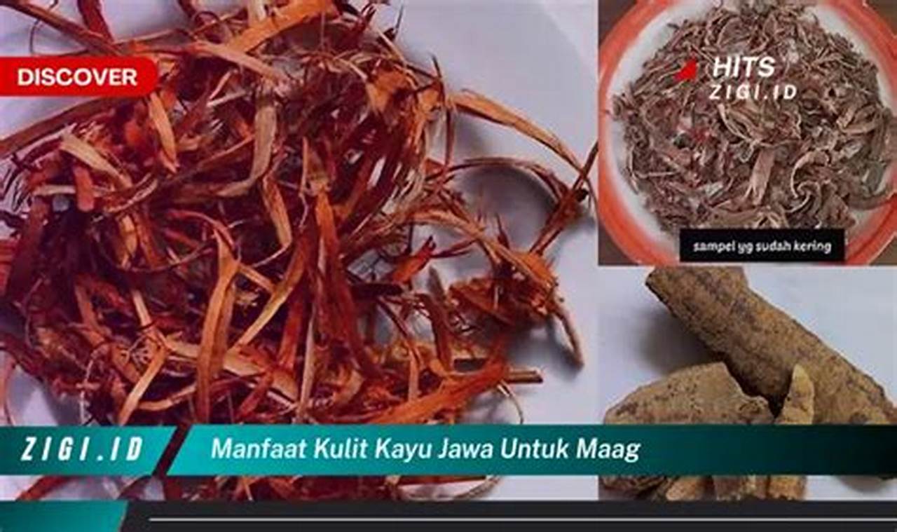 Temukan Manfaat Ajaib Kulit Kayu Jawa untuk Atasi Maag