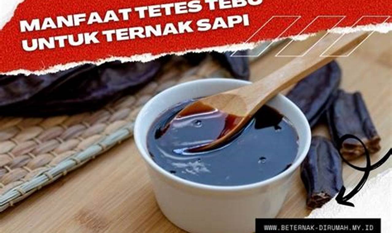 Terungkap Manfaat Tetes Tebu untuk Sapi, Wajib Diketahui!