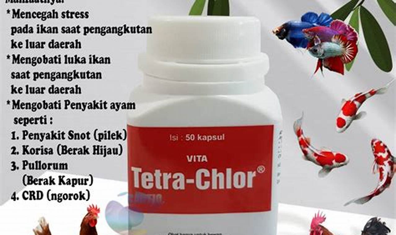 Temukan Manfaat Tetra Chlor untuk Ayam yang Jarang Diketahui