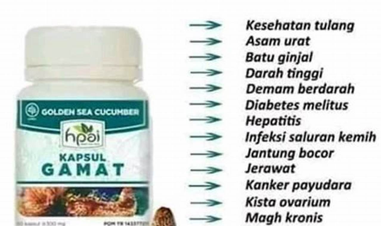 Temukan Khasiat Gamat HPAI untuk Kecantikan yang Jarang Diketahui