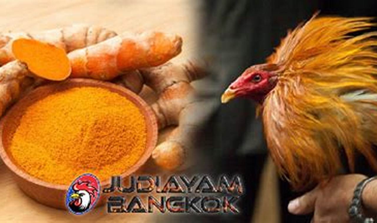 Manfaat Kunyit Untuk Ayam Bangkok Yang Perlu Anda Ketahui