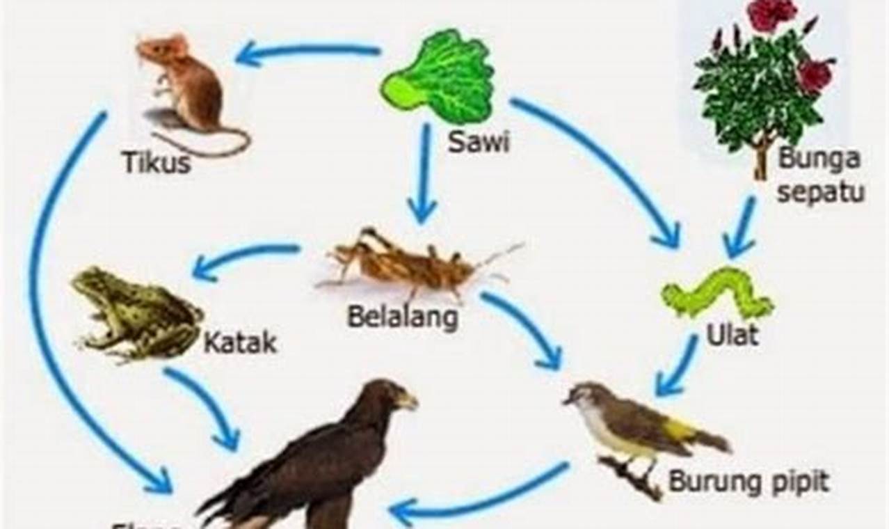 Berikut yang Bukan Manfaat Biologi yang Tidak Biasa Diketahui